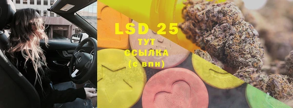 apvp Надым