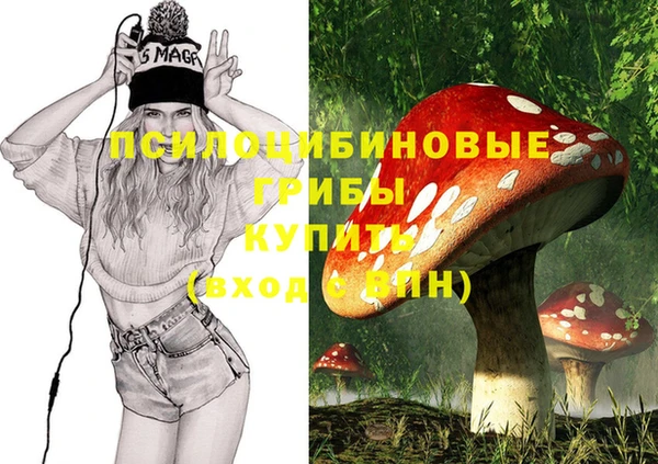 apvp Надым